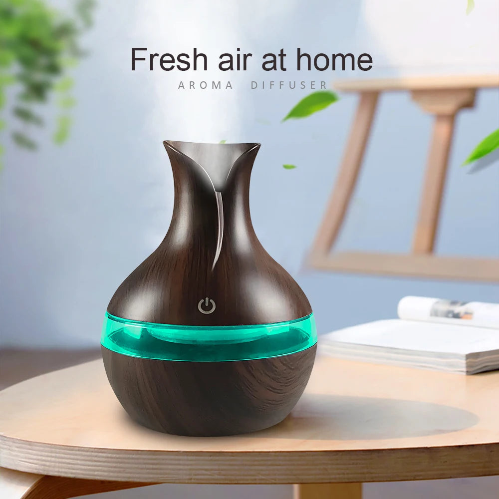 Diffuser For Home Compact Touch Humidifier with 2 Oils