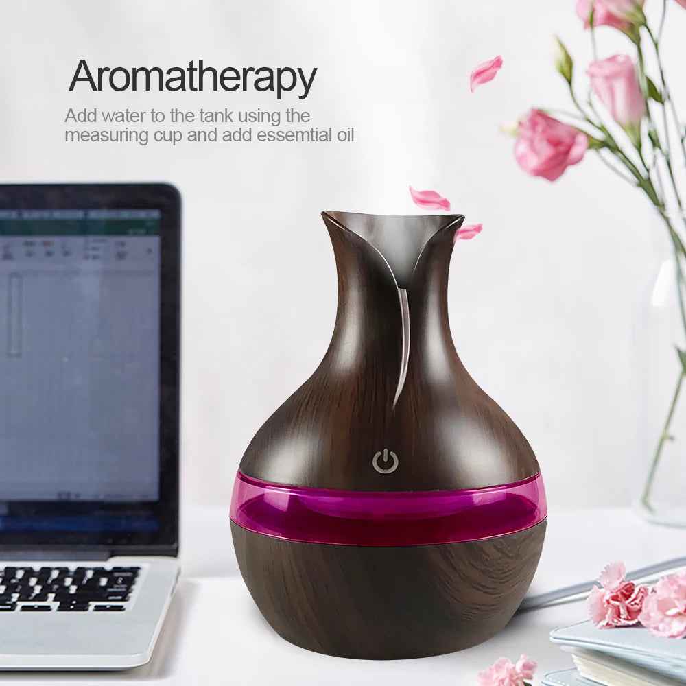 Diffuser For Home Compact Touch Humidifier with 2 Oils