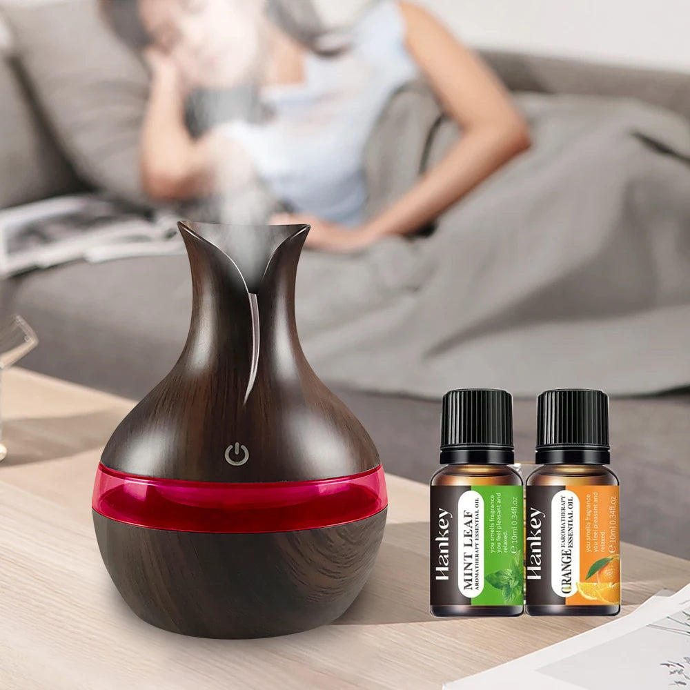Diffuser For Home Compact Touch Humidifier with 2 Oils