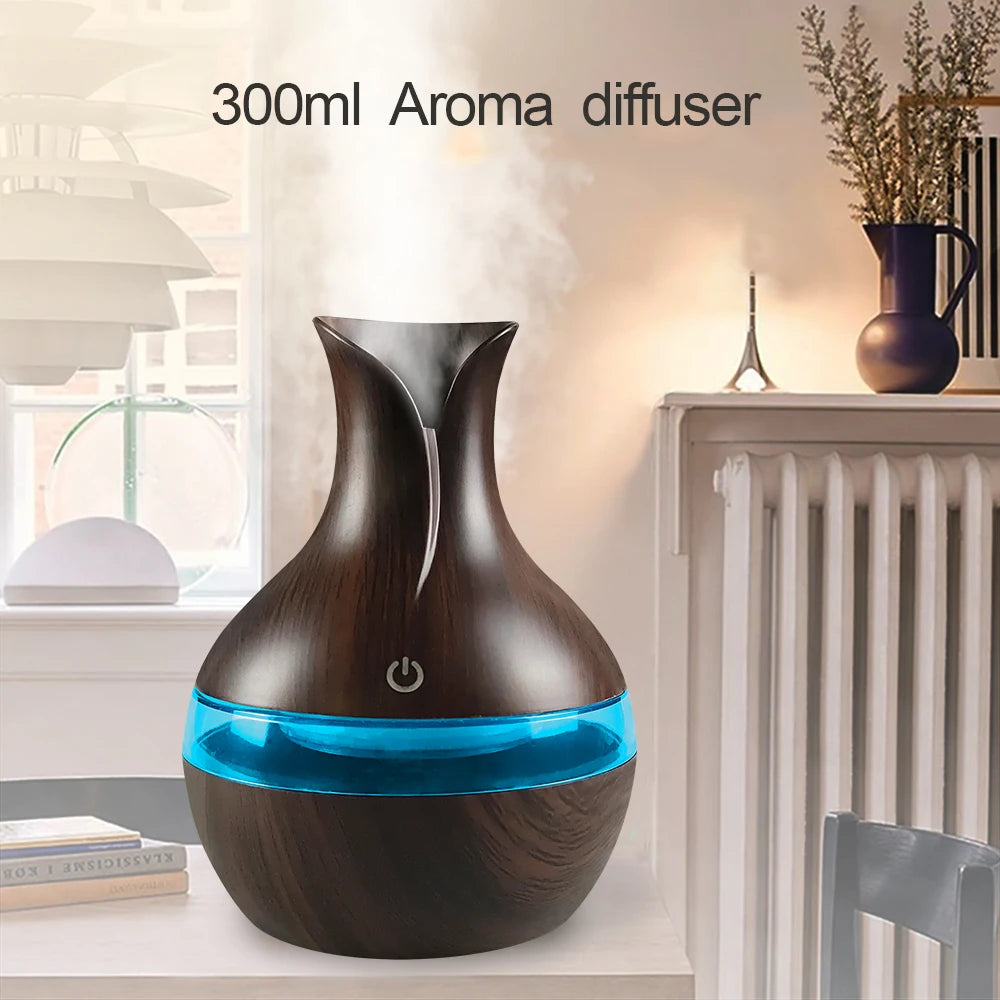 Diffuser For Home Compact Touch Humidifier with 2 Oils