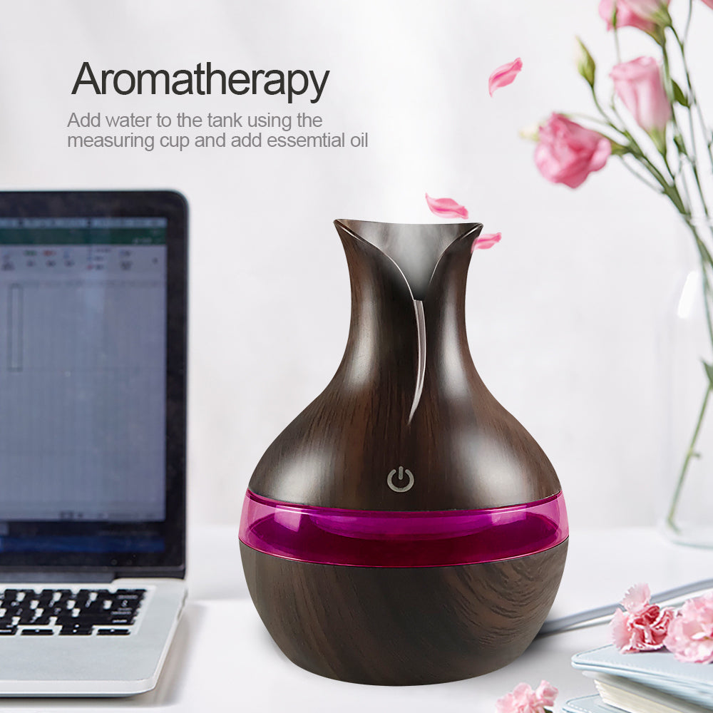 Diffuser For Home Compact Touch Humidifier with 2 Oils