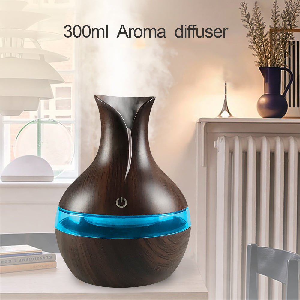 Diffuser For Home Compact Touch Humidifier with 2 Oils