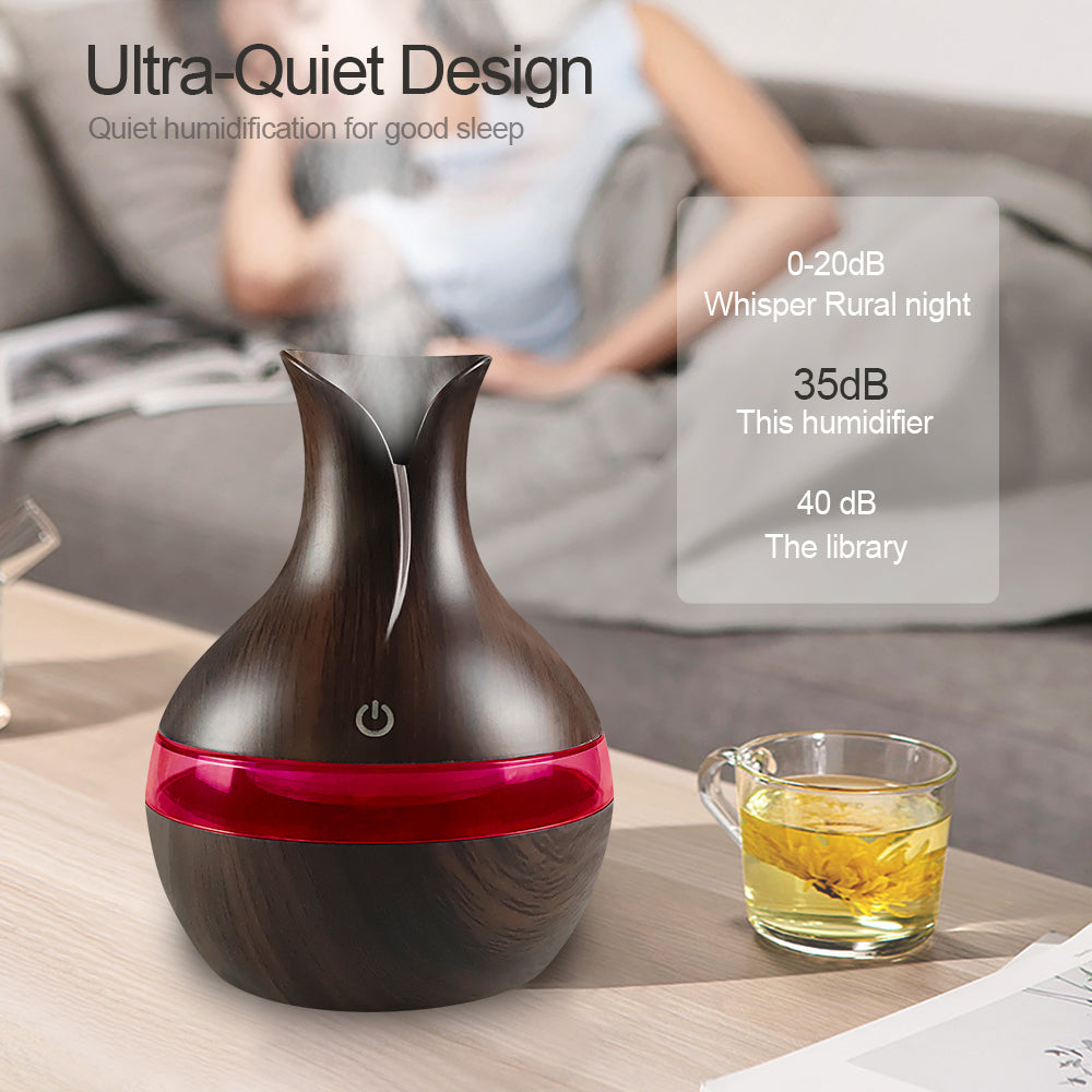 Diffuser For Home Compact Touch Humidifier with 2 Oils