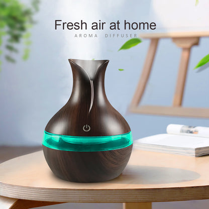 Diffuser For Home Compact Touch Humidifier with 2  Oils